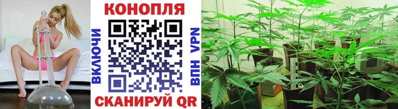 МАРИХУАНА Amnesia  где купить   Сысерть 